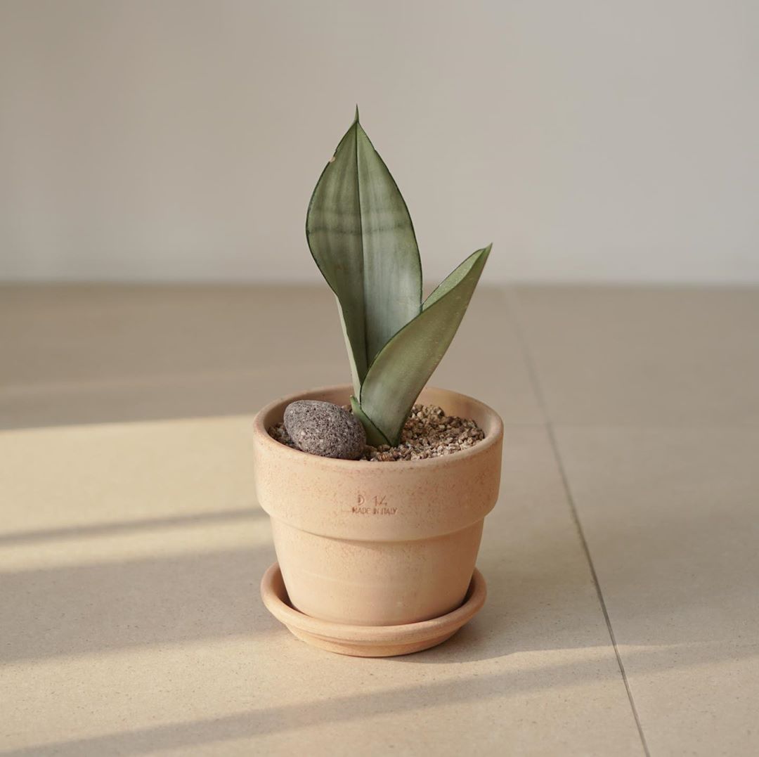 화환/화분 안내